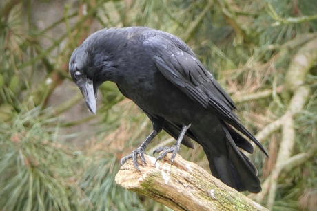 Wat zie ik daar nou ?