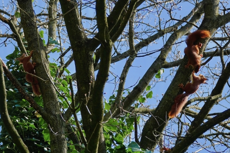 Buiten spelen op 8 meter hoogte (2)