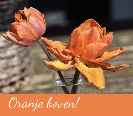 Oranje boven!
