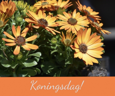 Koningsdag