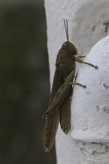 Rustig blijven zitten.