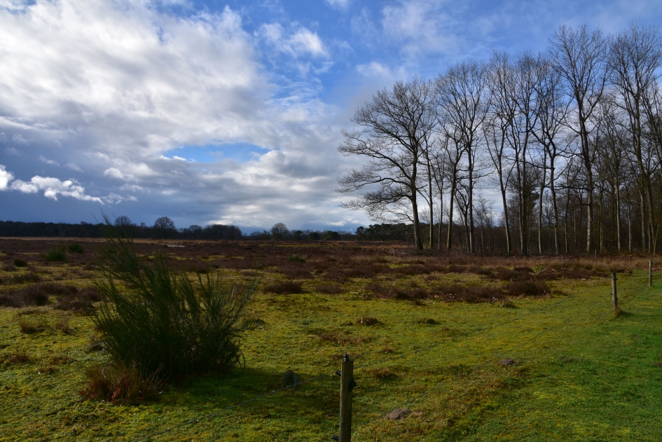 Takkenhoogte - Weer en landschap - 
