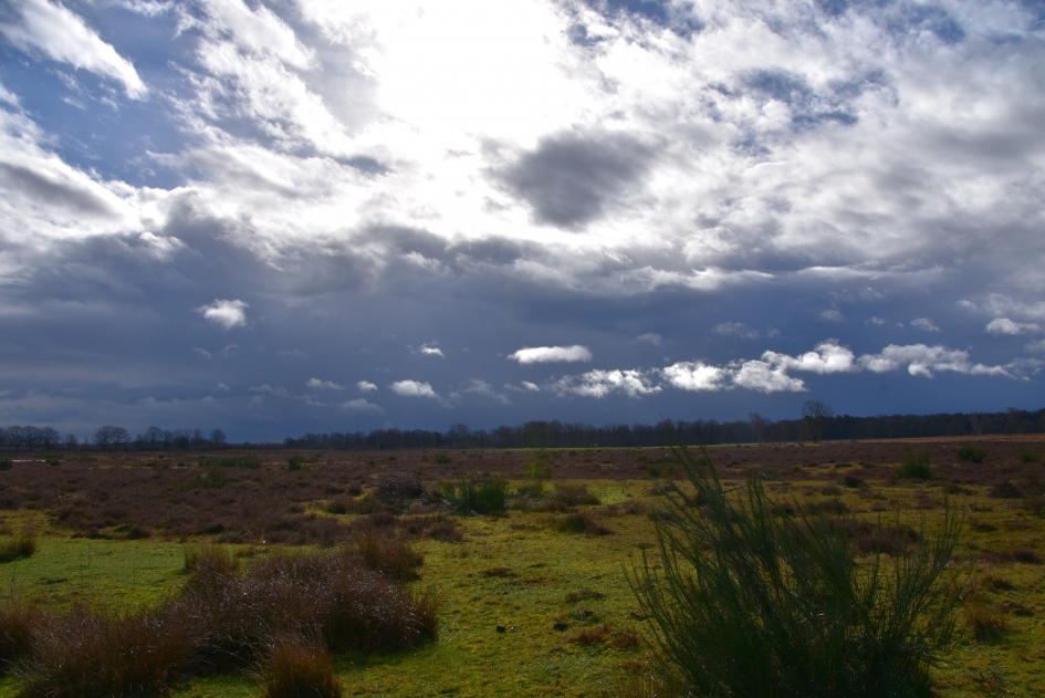 Takkenhoogte - Weer en landschap - 