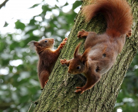 Voor het eerst met ma op stap