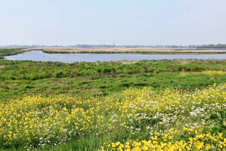 De Groene Jonker - Weer en landschap - 