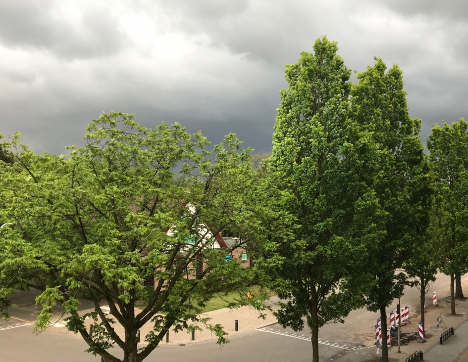 Dreigende lucht, 20:15 uur - Weer en landschap - 