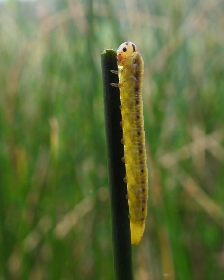 En zo klim ik naar boven........