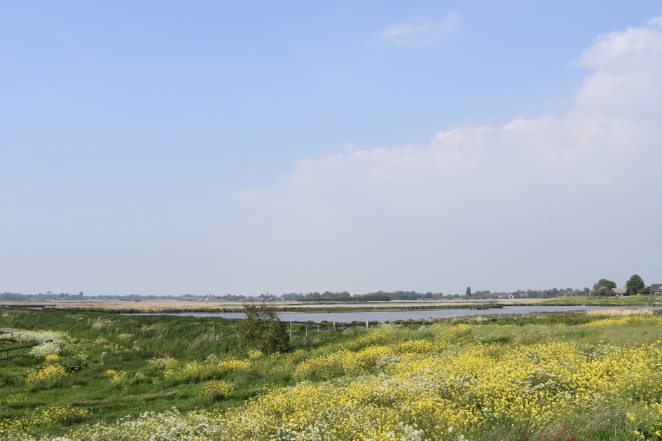 De Groene Jonker - Weer en landschap - 