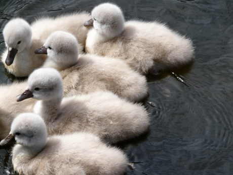 lekker dicht bij elkaar