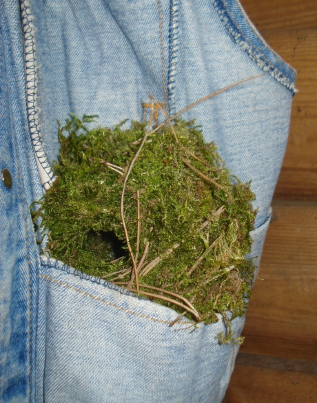 Nest in vest