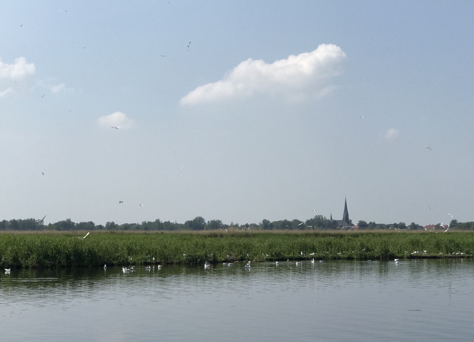Noorden vanaf de Nieuwkoopse Plassen - Weer en landschap - 