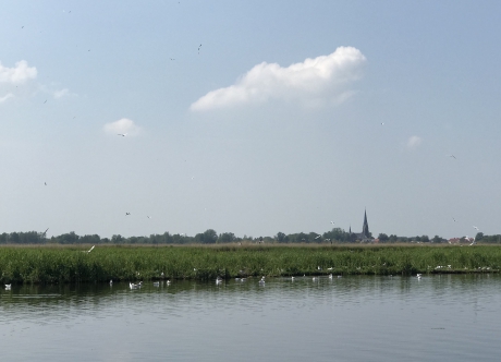 Noorden vanaf de Nieuwkoopse Plassen