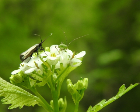 Samen wachten op de zon