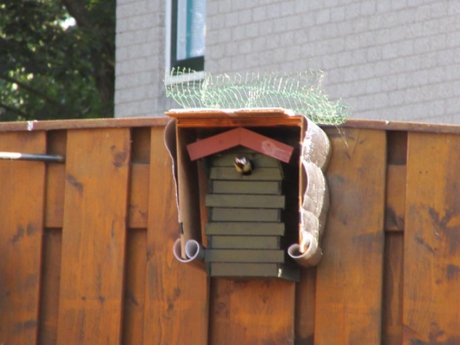 nestkast geïsoleerd tegen extreme hitte