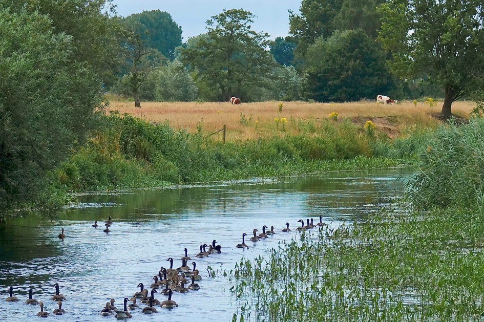 Dommel idylle - Weer en landschap - 
