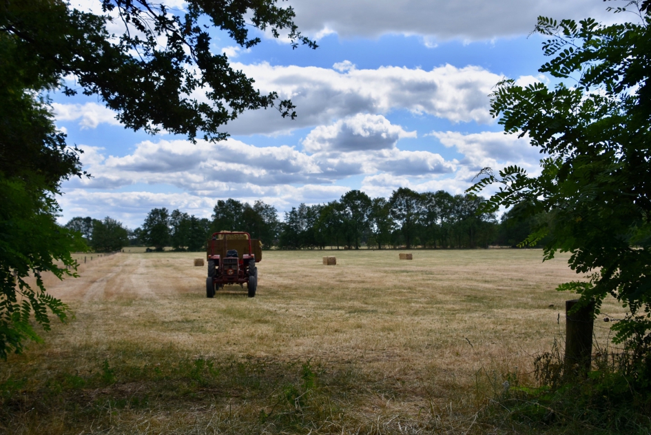 Droog - Weer en landschap - 