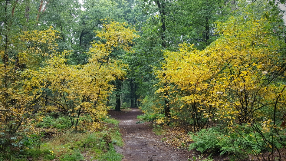Herfst ? - Weer en landschap - Landschap