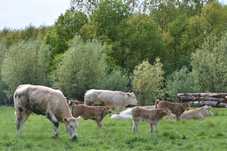 Langs de Langbroekerwetering