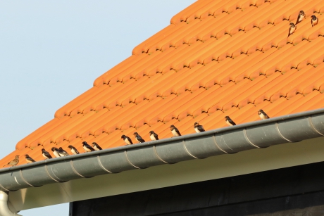 Willen die drie daarboven ook aansluiten...