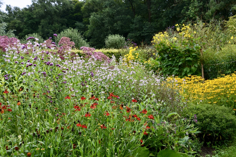 Nog een foto van de tuin.. - Planten - 