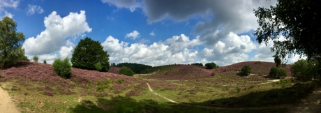 Nog een keer dan omdat het zo mooi is