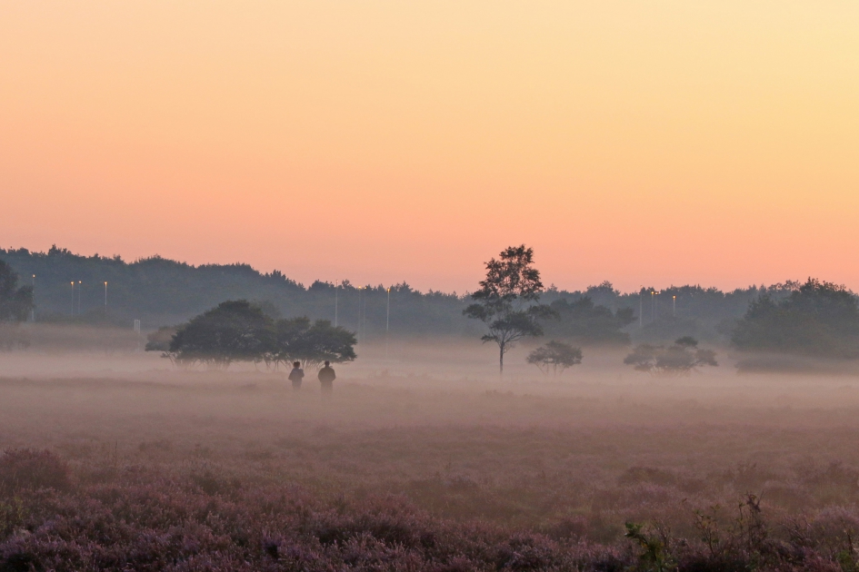 Ochtendnevel op de heide - Weer en landschap - 