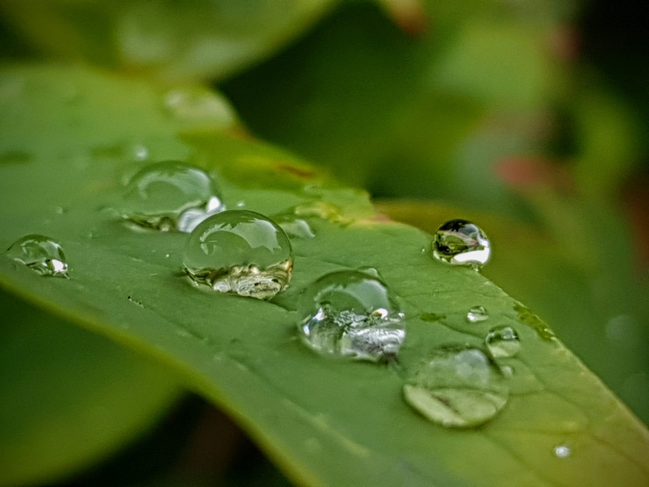 Regen........ - Weer en landschap - 