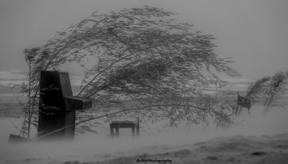 Storm. - Weer en landschap - Storm.