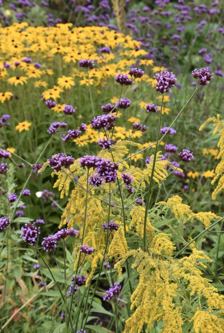 Tuin van Landgoed Oostbroek