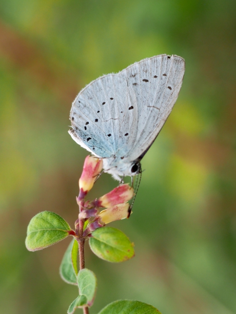 Weinig in beeld dit jaar