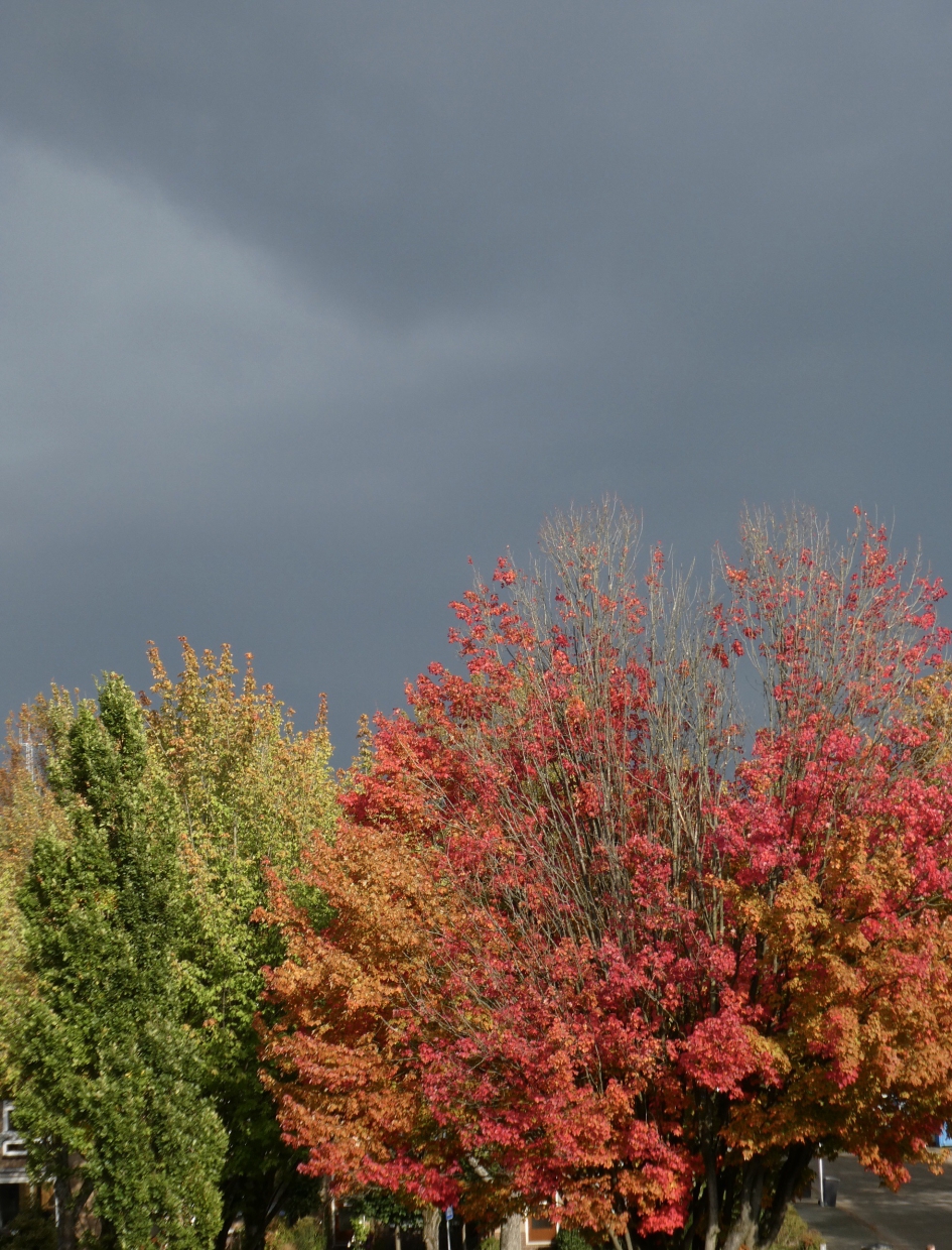 16:30 uur gisteren - Weer en landschap - 