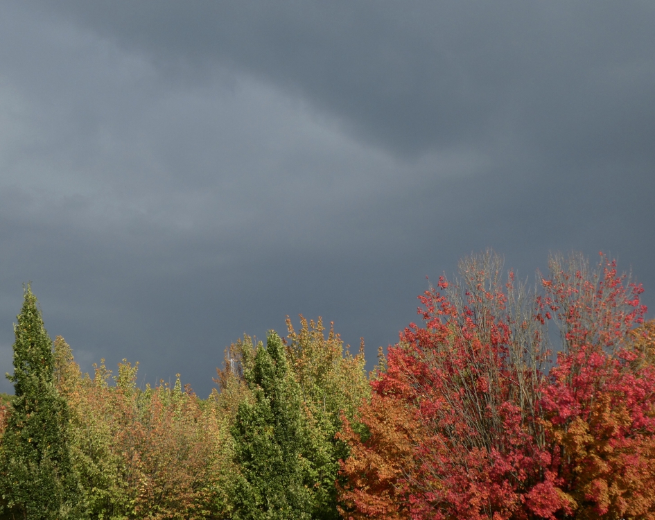 Gisteren on half vijf - Weer en landschap - 