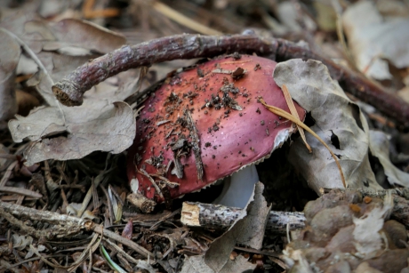 Ik worstel en kom boven.