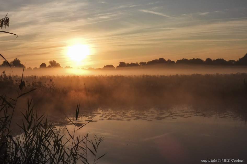 Ochtend aan de Raam - Weer en landschap - 
