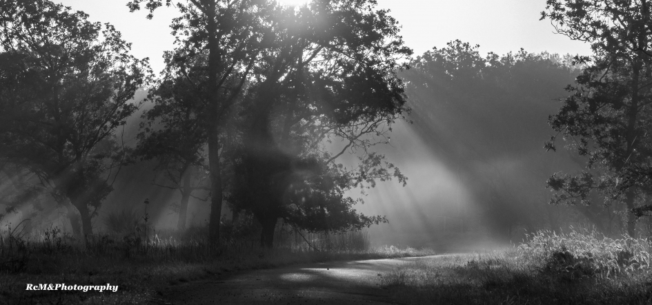 Ochtenddauw. - Weer en landschap - Ochtenddauw.