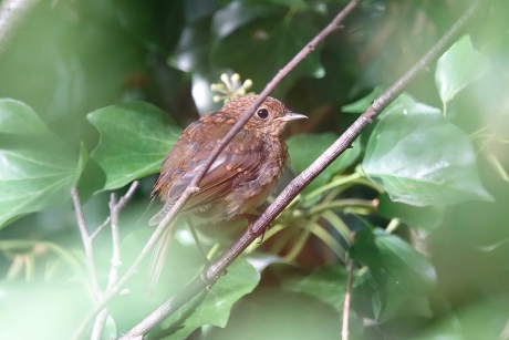 Zo min mogelijk opvallen