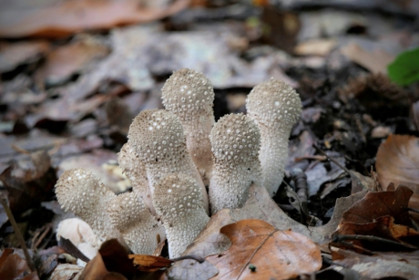 Bijna een strike....