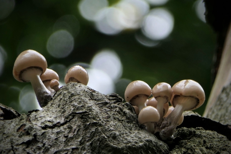 Die zoeken het hogerop.