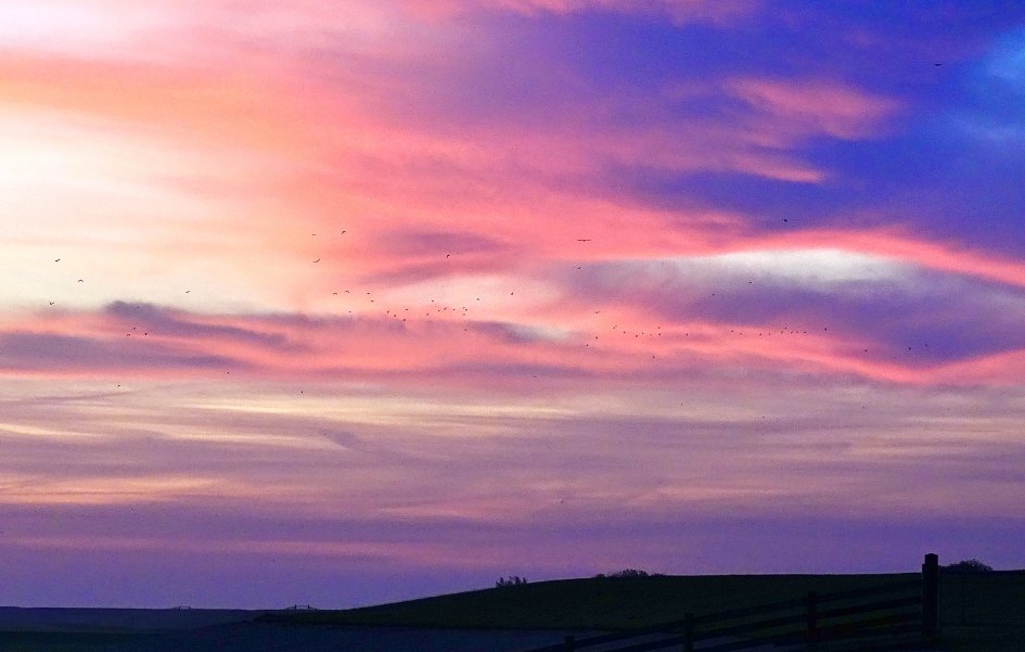 Magisch licht - Weer en landschap - 