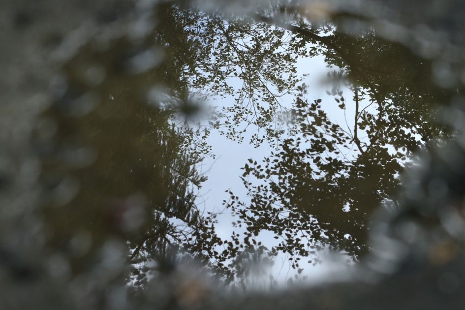 regenplas - Weer en landschap - 