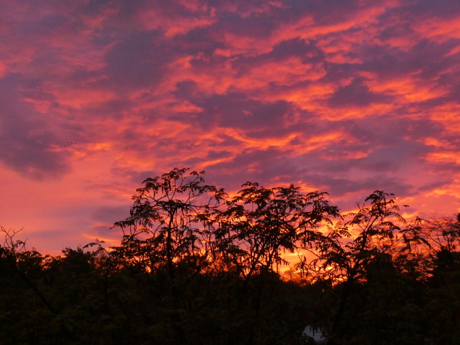 Donderdagmorgen - Weer en landschap - 