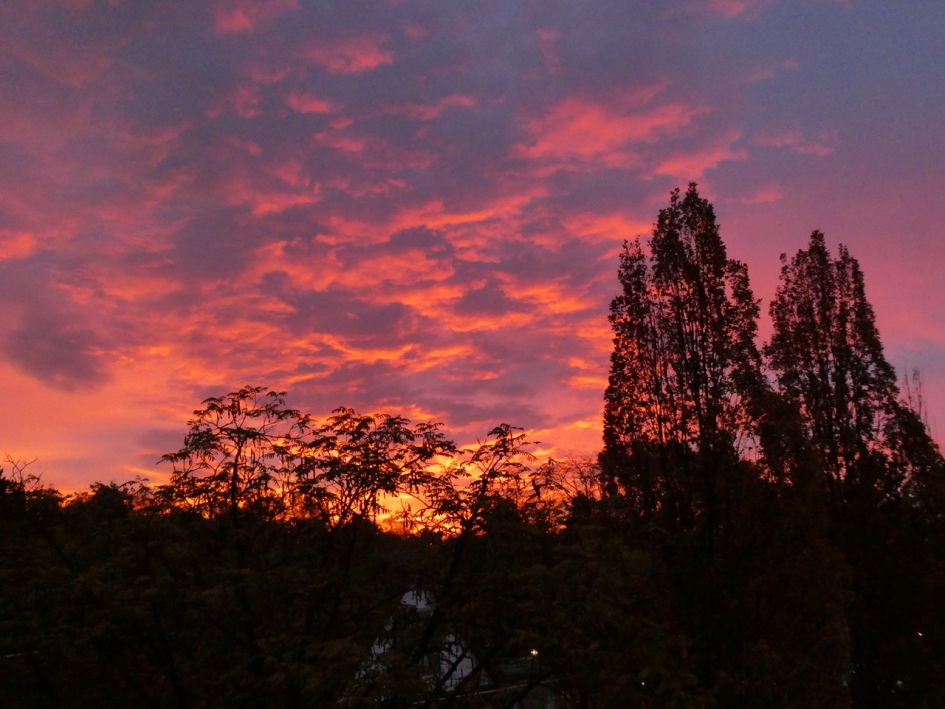 Donderdagmorgen 7:45 uur - Weer en landschap - 