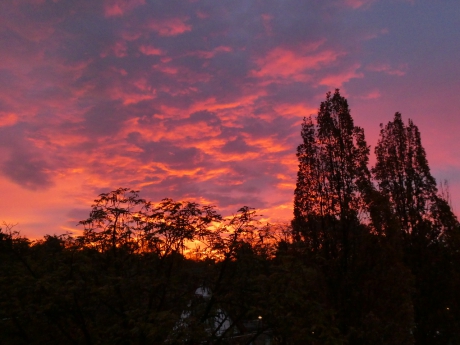 Donderdagmorgen 7:45 uur