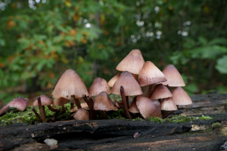 Een mooi clubje bij elkaar.