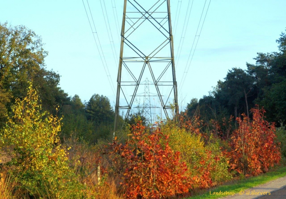 Herfstlandschap - Weer en landschap - Herfstlandschap