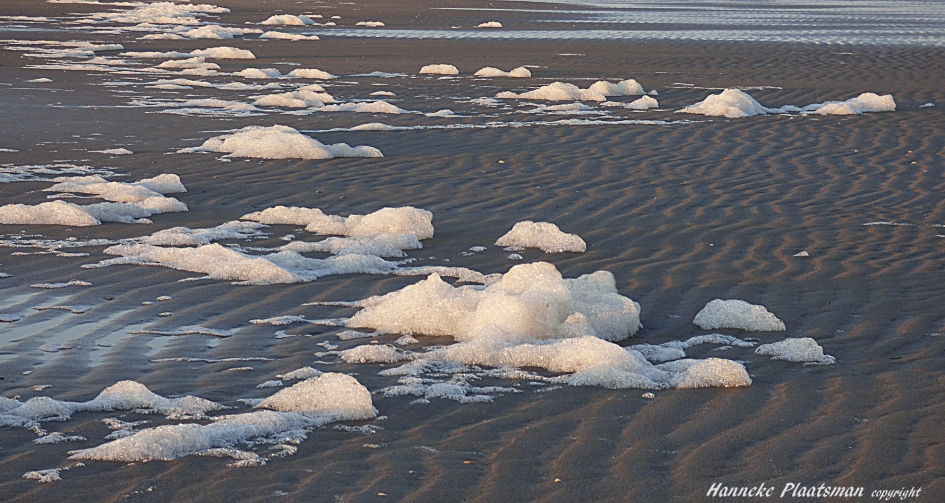In de wind rolt het schuim over het strand - Weer en landschap - Schuimalg