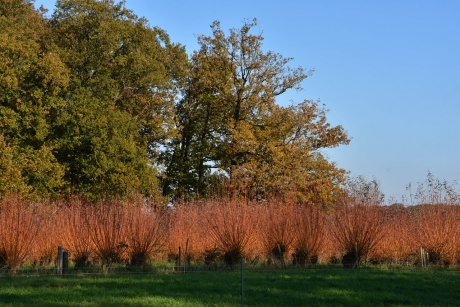 Langs de Langbroekerwetering