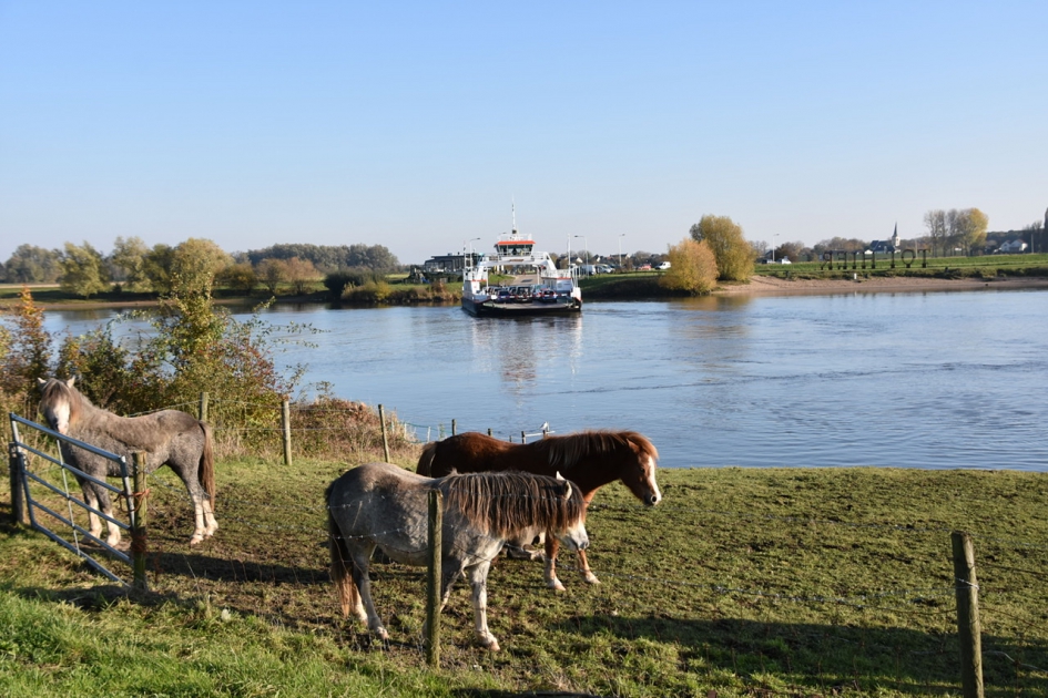 Langs de Lek - Weer en landschap - 