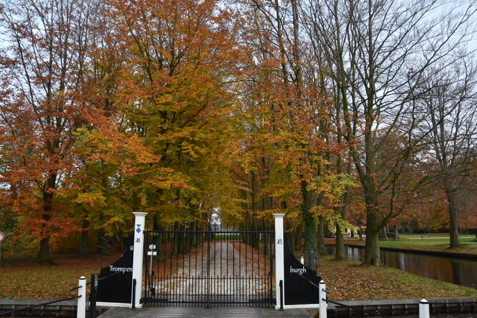 Toegangshek van het Buiten - Weer en landschap - 