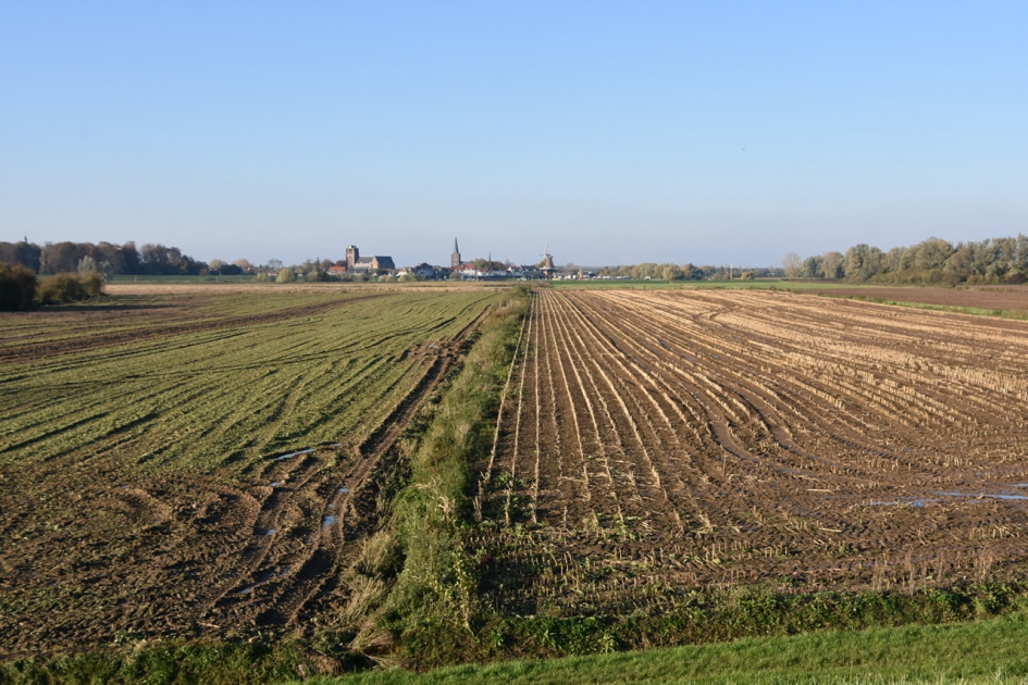 Zicht op Wijk bij Duurstede - Weer en landschap - 